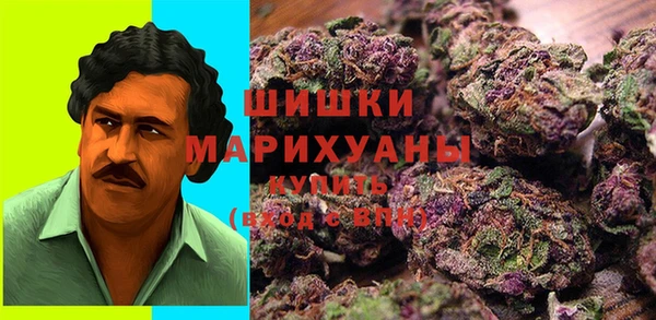 МДПВ Осташков