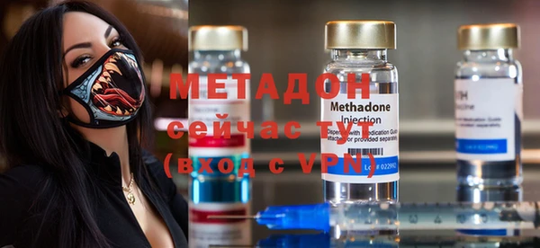 индика Нягань