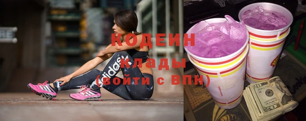 индика Нягань