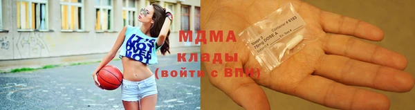 индика Нягань