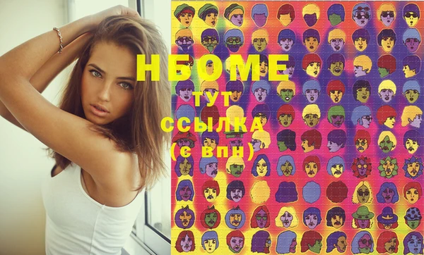 индика Нягань
