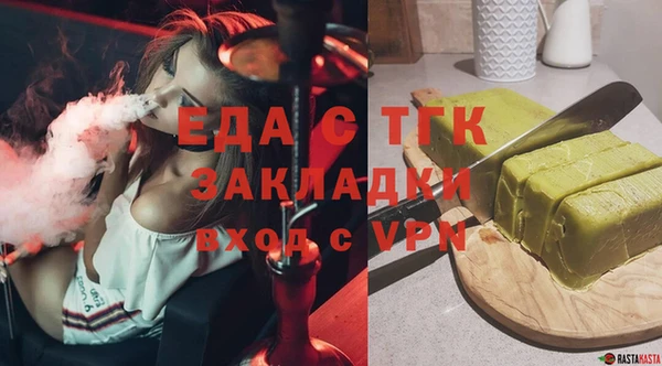 индика Нягань