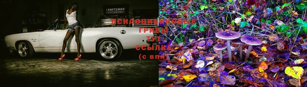индика Нягань