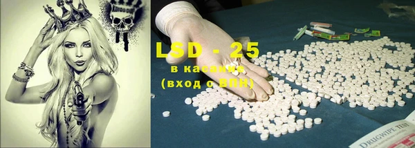 индика Нягань