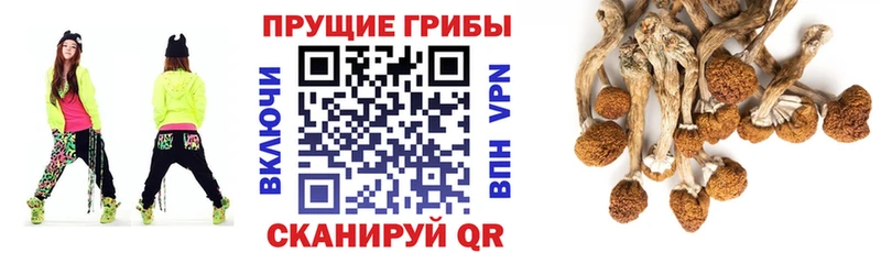 Галлюциногенные грибы MAGIC MUSHROOMS Усть-Лабинск