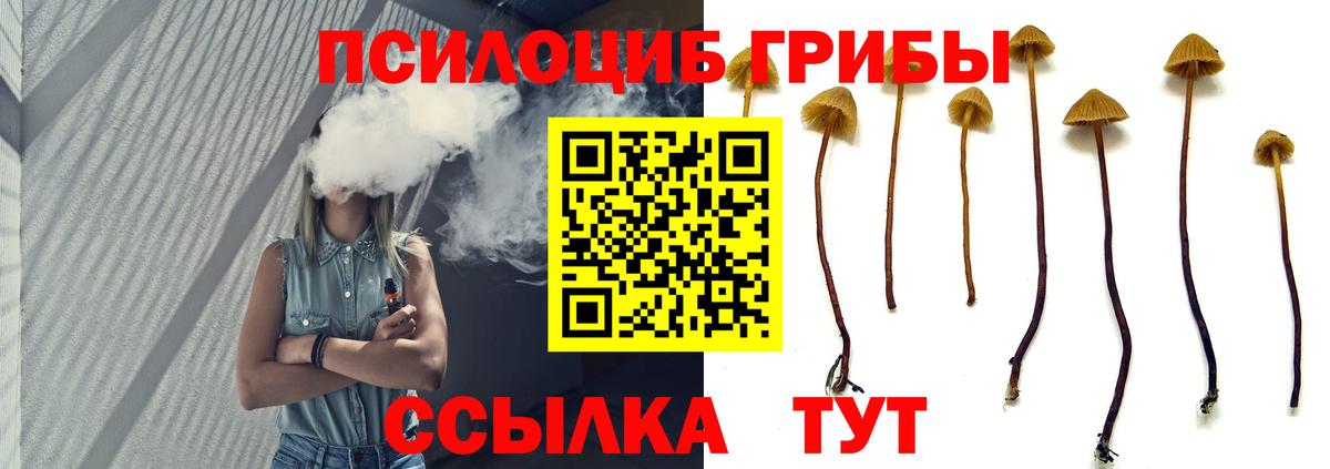 Усть-Лабинск  Галлюциногенные грибы Cubensis  Псилоцибиновые грибы ЛСД  Вход с VPN 